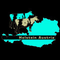 Holstein Austria ill Karte